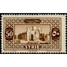 Syrie - 215