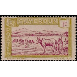 Cameroun - 106