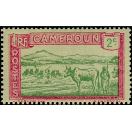Cameroun - 107
