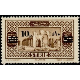 Syrie - 245