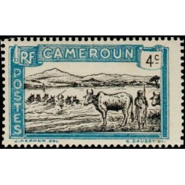 Cameroun - 108