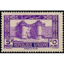 Syrie - 257