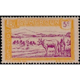 Cameroun - 109