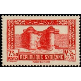 Syrie - 258