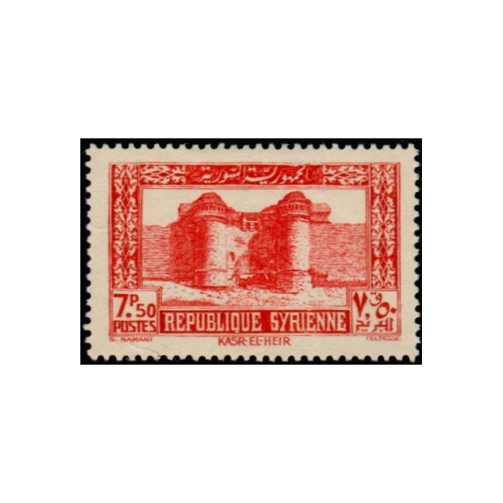 Syrie - 258