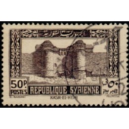 Syrie - 259