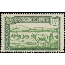 Cameroun - 111