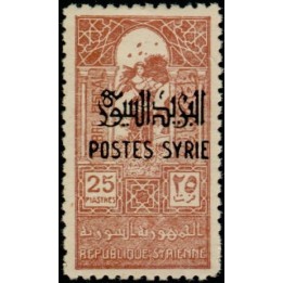 Syrie - 284