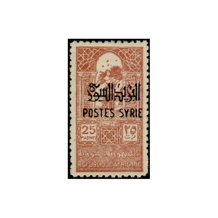 Syrie - 284