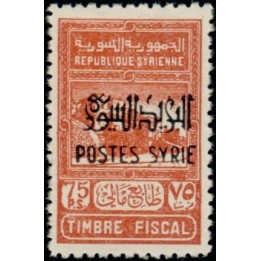 Syrie - 286
