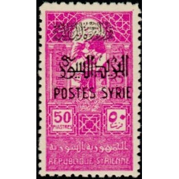 Syrie - 291