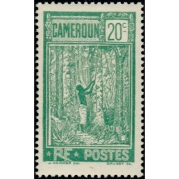 Cameroun - 113