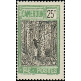 Cameroun - 114