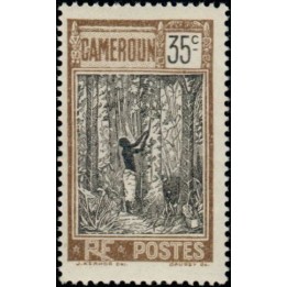Cameroun - 116