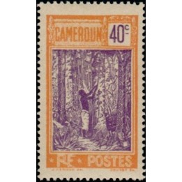 Cameroun - 117