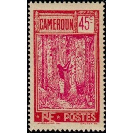 Cameroun - 118