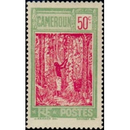 Cameroun - 119
