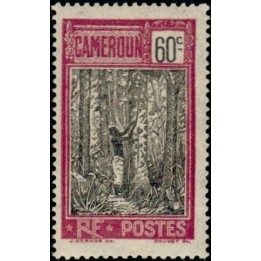Cameroun - 120