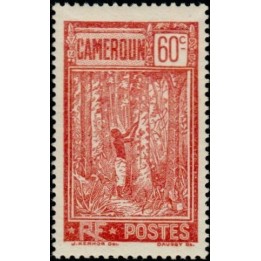 Cameroun - 121