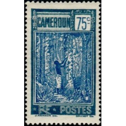 Cameroun - 123
