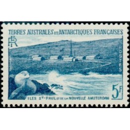 TAAF - 004
