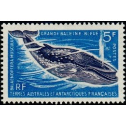 TAAF - 022