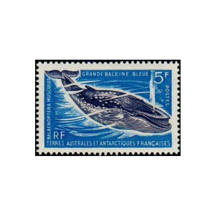 TAAF - 022