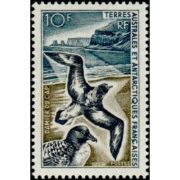 TAAF - 028