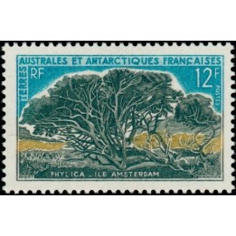 TAAF - 029