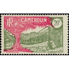 Cameroun - 132