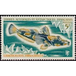 TAAF - 034