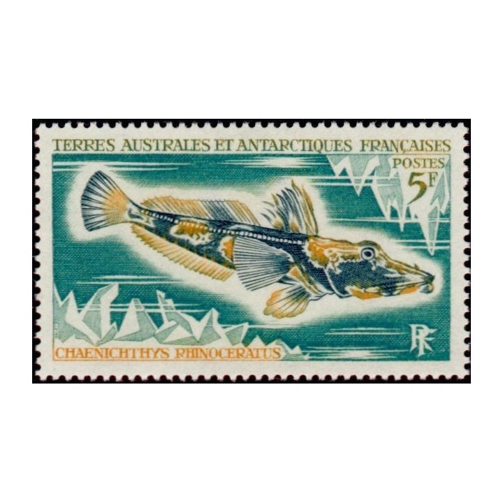TAAF - 034