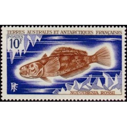 TAAF - 035