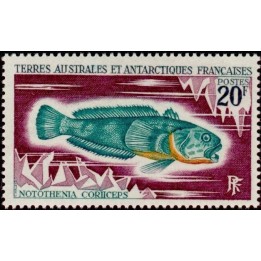 TAAF - 036
