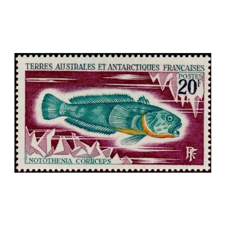 TAAF - 036