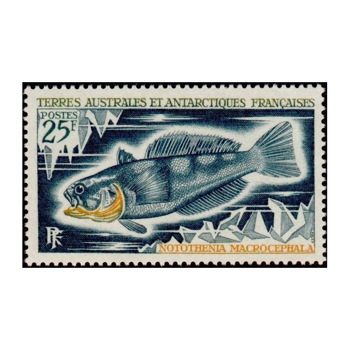 TAAF - 037