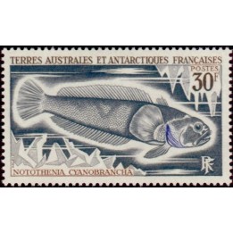 TAAF - 038