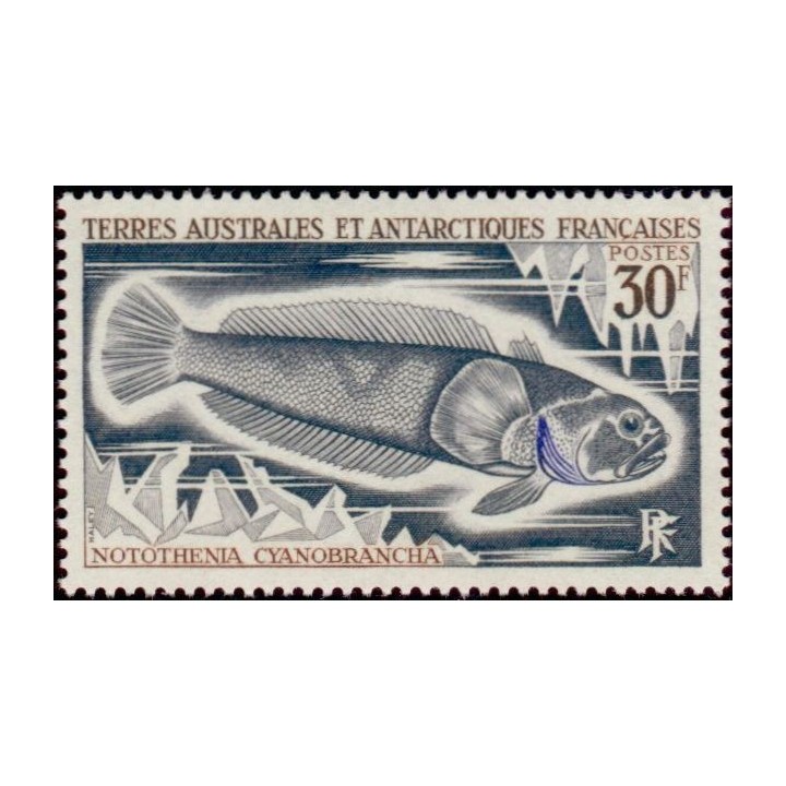 TAAF - 038