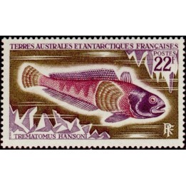 TAAF - 043