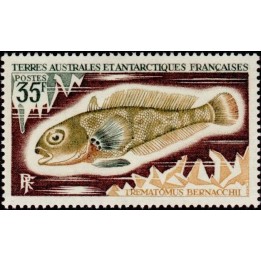 TAAF - 044