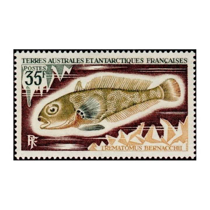 TAAF - 044
