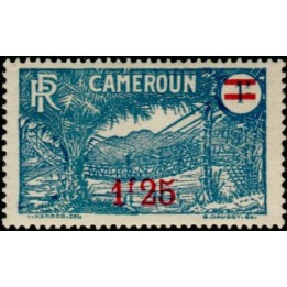 Cameroun - 133