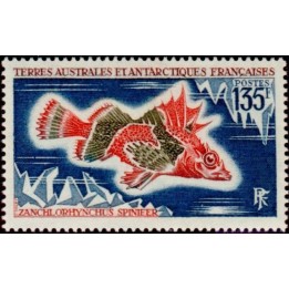 TAAF - 045