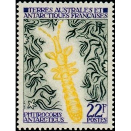 TAAF - 050