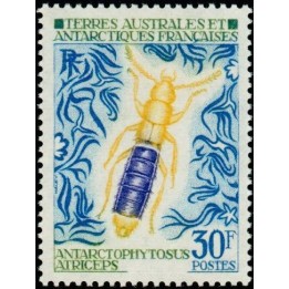 TAAF - 051