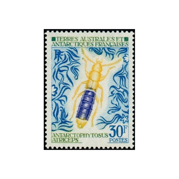 TAAF - 051