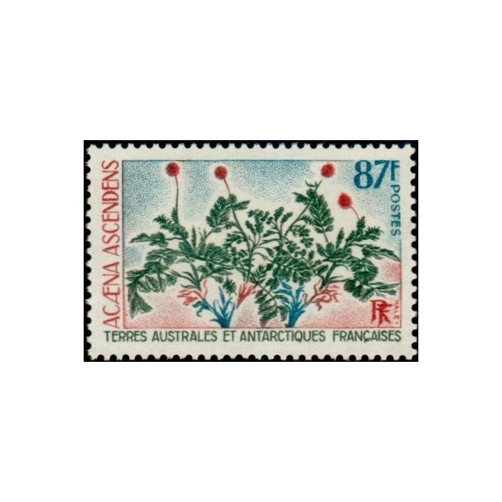 TAAF - 053