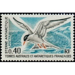 TAAF - 055