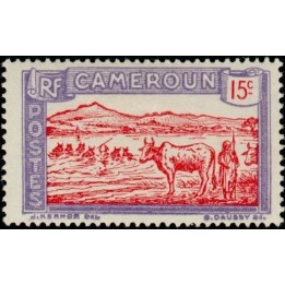 Cameroun - 134