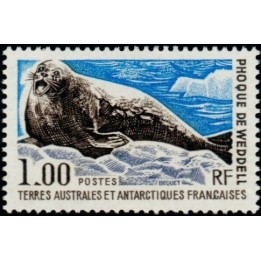 TAAF - 058